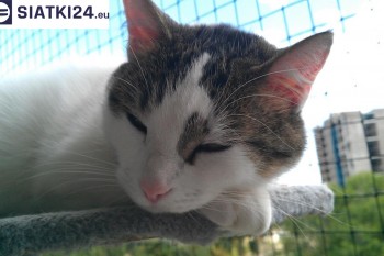 Siatki Żary - Siatka na balkony dla kota i zabezpieczenie dzieci dla terenów Żar